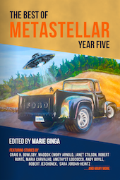 Best of MetaStellar Year Five cover