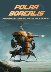 Polar Borealis #11
